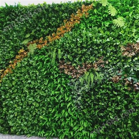 无锡写字楼生态植物墙施工 网红仿真植物墙