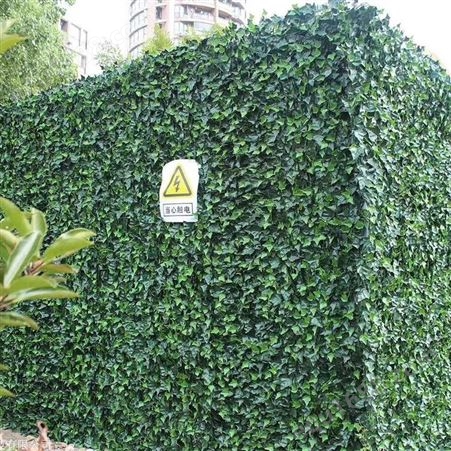 无锡写字楼植物墙施工 绿色仿真植物墙
