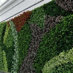 无锡写字楼生态植物墙施工 网红仿真植物墙