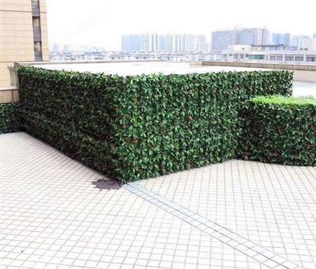 苏州绿色生态植物墙 垂直绿化植物墙