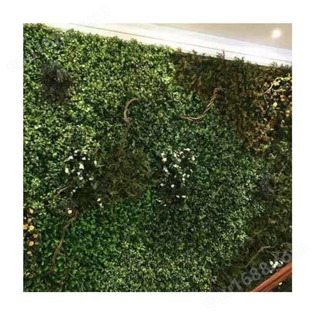 仿真植物墙价格 江苏净化空气植物墙造型