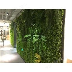 垂直绿化植物墙 安徽新品生态植物墙制作