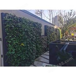 垂直绿化植物墙 上海环保室外植物墙制作