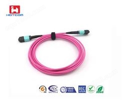 MPO-MPO12芯多模OM4紫色光纤跳线2米