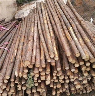 深圳杉木绿化杆供应商,杉木绿化杆生产厂家,大量杉木绿化杆供应