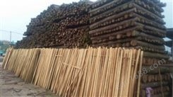 东莞杉木报价 大量杉木供应 耐用防腐杉木