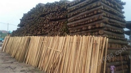 东莞杉木报价 大量杉木供应 耐用防腐杉木