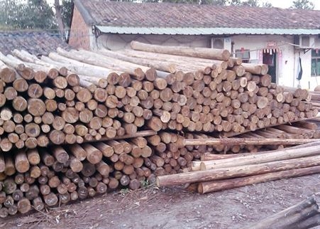 杉木价格   大量杉木供应   专业加工杉木