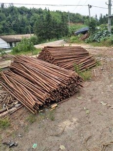 深圳杉木绿化杆供应商,杉木绿化杆生产厂家,大量杉木绿化杆供应