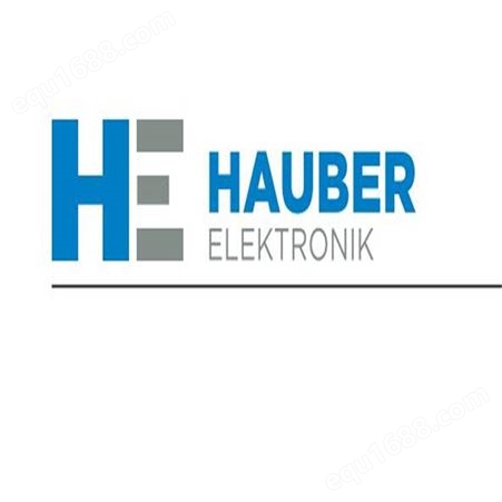 HAUBER-Elektronik振动传感器663.10.000.0 HAUBER传感器