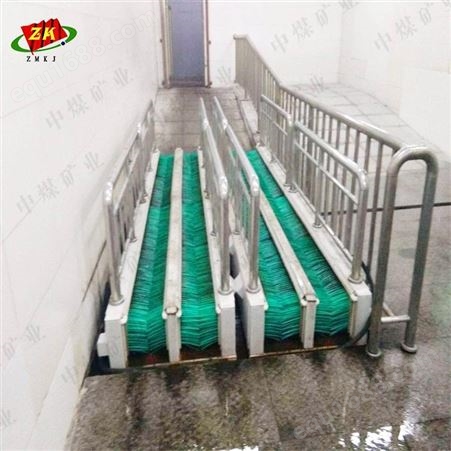 安徽中煤矿业 全自动洗靴装置固定式ZXR系列 双通道