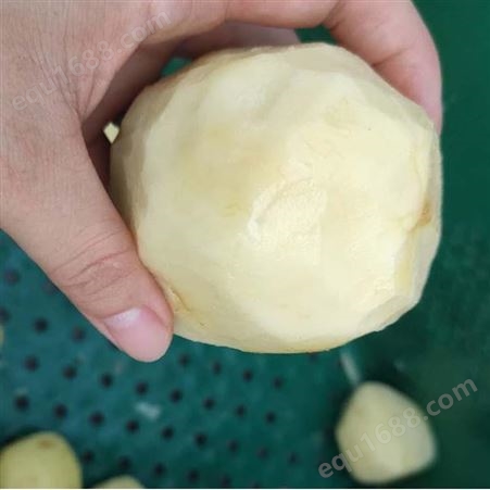 土豆削皮机-元享机械-精创品牌