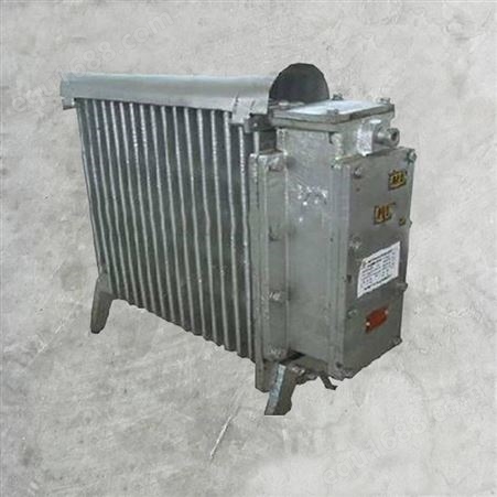 RB-2000/127(A）防爆电热取暖器 采用灰铸铁作为散热器 持续散热能力强