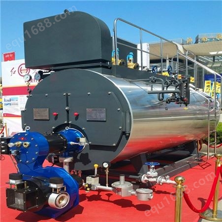LNG液化天然气烘干用锅炉 LNG液化天然气家具定型用锅炉