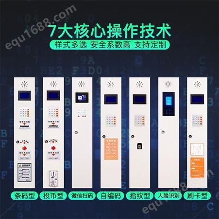 12门电子存包柜重量 广西人脸识别储物柜 迪泰 DT-CBG-397
