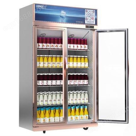 星星展示柜 冷藏柜冰箱 立式冰柜商用大容量 双门保鲜柜超市饮料柜