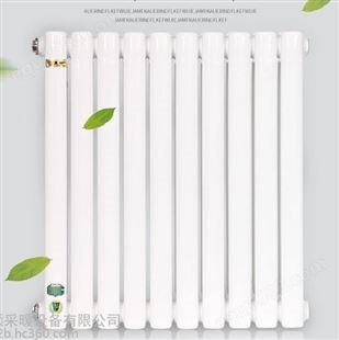 钢制柱型散热器     家用暖气片取暖设备     钢制二柱5025暖气片 低碳钢散热器